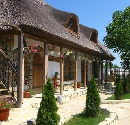 Casa Cu Flori Murighiol Esterno foto