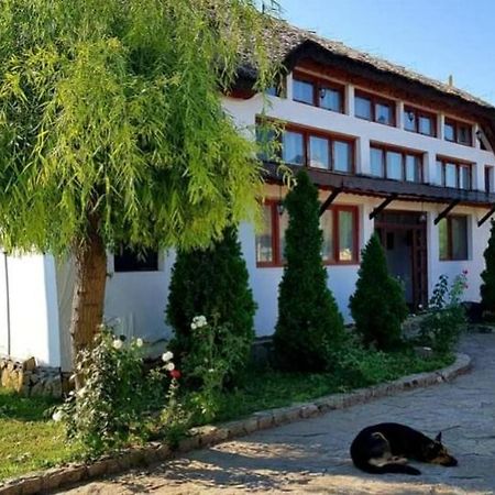 Casa Cu Flori Murighiol Esterno foto