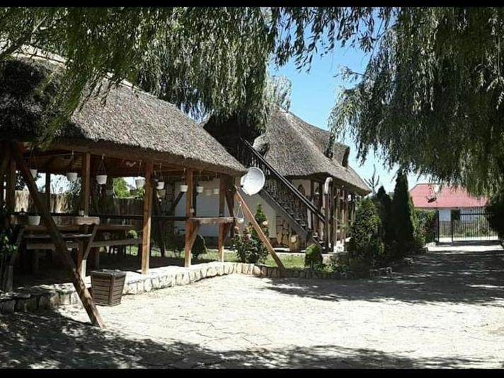 Casa Cu Flori Murighiol Esterno foto