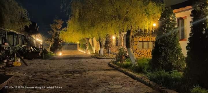 Casa Cu Flori Murighiol Esterno foto